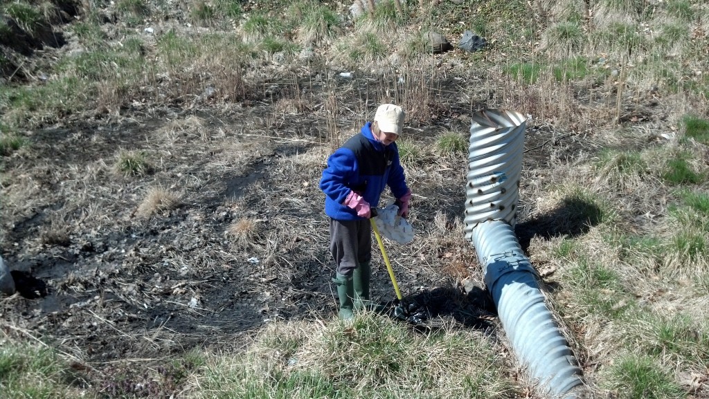 Cleanup around stormwater basin