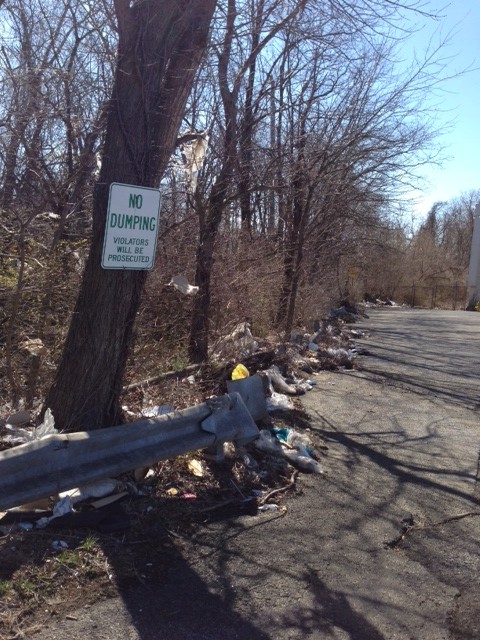 No Dumping! Trash before cleanup (back of Tri-State Mall)